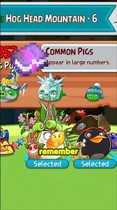 WizPig's Magic Shield #angrybirdsepic