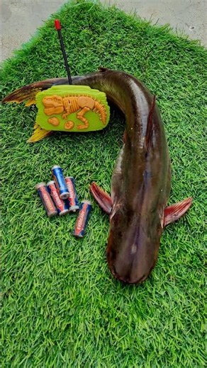 Remote control fish Unboxing 🔥#shorts