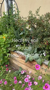 Have you heard of the soil food web?🪱👇 There are tiny microscopic creatures that live in the soil. The soil is alive. These creatures that live in it actually feed our plants. Isn’t that incredible?🪱🦠 Next time you are wondering if you should fertilize your plants think instead to feed the creatures in the soil. What to feed them? Give them green waste, kitchen scraps, leaves, compost that will make them very happy. As they live and die, through their activities underground where we can’t se