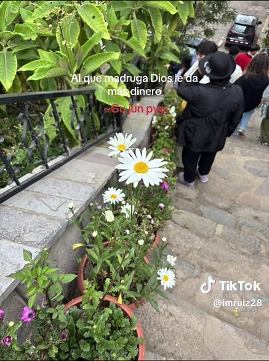 Frases Icónicas de Boys Over Flowers