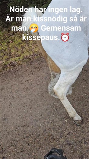 Jennie Haraldson on Reels