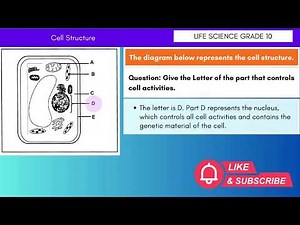 Life Sciences Grade 10: Cell Structure | Parts & Functions Explained