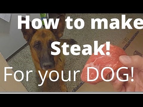 How to Cook a Steak for Your Dog