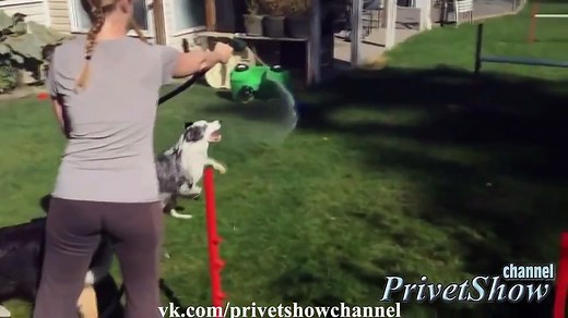 【面白い 映像】おもしろおバカ映像 【6秒で笑える】 #64