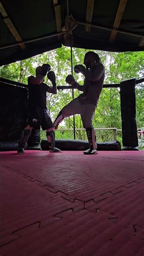 Dynamic striking combination [Movement] 🥋