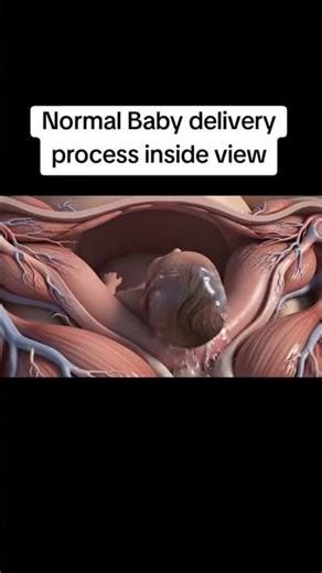 Why Normal Delivery Was Not Possible | Real Birth Experience #nicubaby #niculife #nicugraduates