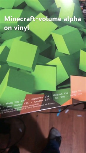 Minecraft-volume alpha on vinyl #minecraft #nostalgia #2000s #vinyl #minecraftsong