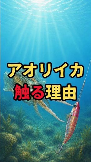 Why bigfin reef squid use their tentacles to check out jigs #fishing #metaljig #increaseyourcatch