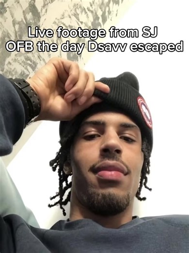 #sj #dsavv #ofb #nizz