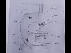 How to draw Examination and handling of a microscope easily - step by step- Draw a microscope.