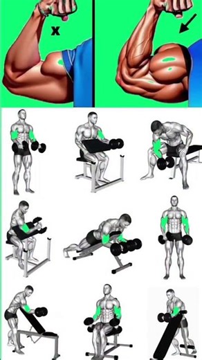 biceps exercises chart | Ai Fit Studio