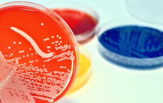 A better, faster sepsis test that can save lives