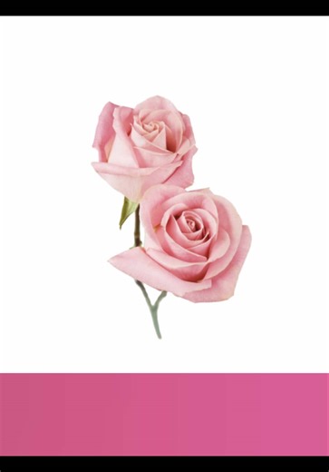 lmfao #fyp #viral #fypシ #asmr #xyzbca gods school copy Aphrodite slime rant Lily rants