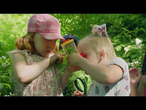 What does an entomologist do?