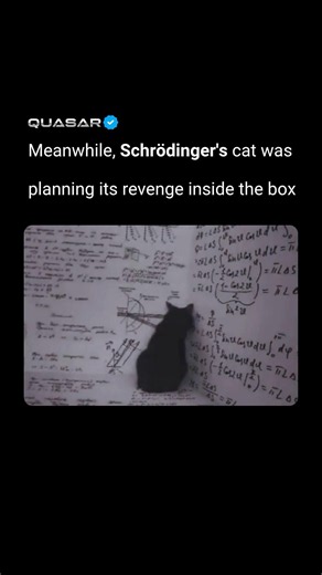 Meanwhile, Schrödinger’s cat inside the box.