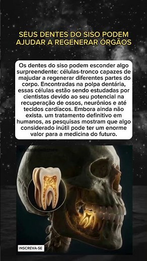 O siso pode guardar células valiosas para a medicina regenerativa 🦷🧬