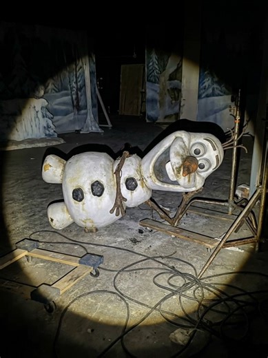 Exploring the World of Disney's Frozen Characters