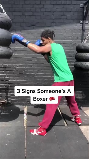 Identifying Boxers: 3 Key Signs to Look Out For