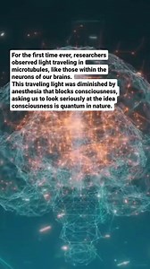 Dr. Catherine Clinton ND on Instagram: "QUANTUM CONSCIOUSNESS PT 2 In recent research, Stuart Hameroff, Roger Penrose and Greg Scholes found that light can travel in microtubules, like those within the neurons of our brain, at room temperature. This traveling light was diminished by anesthesia that blocks consciousness, asking us to look seriously at the idea that consciousness is quantum in nature. Hameroff and Penrose are famous for theorizing that consciousness occurs in the collapse of quant