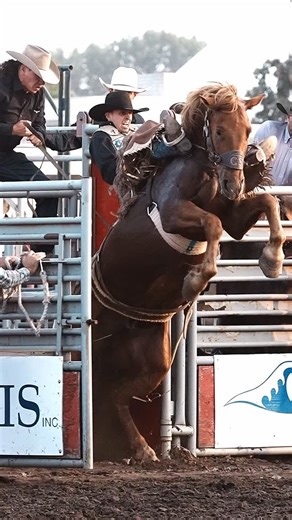 HANGING HORSES on Instagram: "Game FACE  #rodeo @c5.rodeo — 鸞 COWBOYS & CONTRACTORS: Tag yourselves or DM for credit — pinned comment goes to you.  Conversation encouraged!  Leave a dick comment? Blocked faster than an open gate. Thx.  No animals harmed. All riders and livestock are professionals.  Do not repost without explicit credit.  Captured, not generated. Shot on location, not in a server farm. #rodeo #rodeovideography"