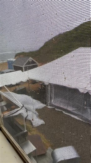 121K views · 1.2K reactions | Happy Summer! | Wellfleet Beachcomber | Facebook