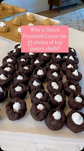 Top pastry around the word use Dutch processed as their go to cocoa for rich color and smooth, deep chocolate flavor. It’s alkalized to reduce acidity, giving you a smooth, intense flavor and a darker color. Top picks:⁣ ✨ Guittard Cocoa Rouge ⁣ ✨ Cacao Barry Plein Arome ⁣ ✨ Valrhona 100% Cocoa Powder ⁣ ⁣ When they need something even darker? Black cocoa—a heavily Dutch-processed powder that gives that iconic dark chocolate look and taste (think Oreos). Just know it lacks depth on its own, so it’