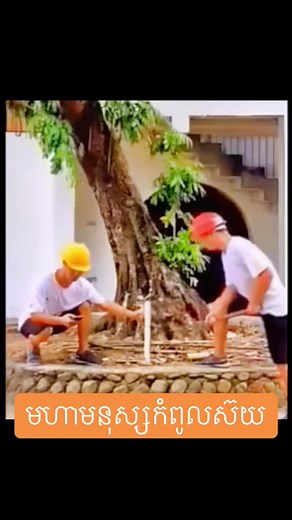 Tree Pulling Technique Explained in Fun Video