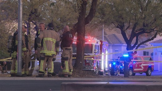 'Very dangerous situation:' Surprise firefighter recalls aggressive bee attack