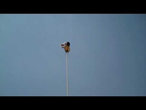 Bello on the Swaypole