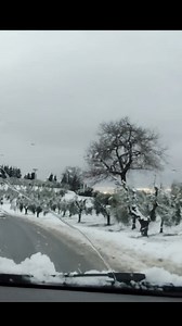 Francisco CANARO & Roberto MAIDA: "Invierno" (TANGO) #tango #tangomilonguero #tangomilonga #tangobuenosaires #tangoargentino #musicapopular #milonga #tangodj #musicaargentina #buenosaires #argentina #tangodance #milonguero #tangomusic #tangomarathon #argentinetango #musica #TDJ | Tango DJ