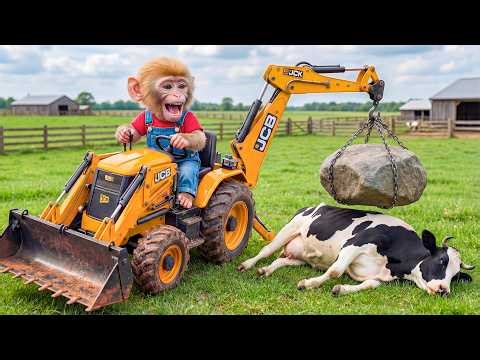 🐒🚜🐄 Monkey Nana Uses a JCB to Rescue a Dairy Cow from a Huge Rock! 🪨