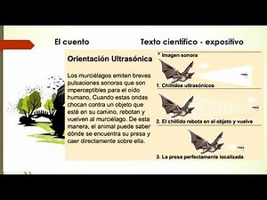 TEXTOS CIENTÍFICOS - EXPOSITIVOS
