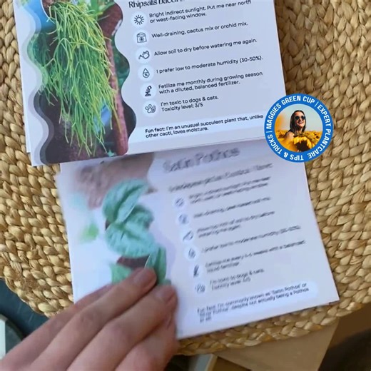Plant Cards With Pictures: Printable Houseplant Instruction - Etsy