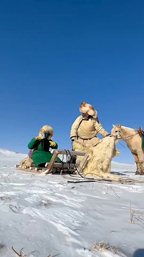 Nomadic Mongolian Cooking in the Wild 🏕️🔥 | Traditional Grasslands Food Experience | Real Outdoor Survival Style #FoodTok #OutdoorCooking #NomadicLife #MongolianFood