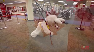 25K views · 148 reactions | We’re throwing it back to last year in time for the long weekend! There is no rest for the Easter bunny. Watch here to see how he trains. You might gain some useful tips: | GoodLife Fitness | Facebook