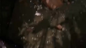 55K views · 391 reactions | Bomberos Bello atendió en la noche del...