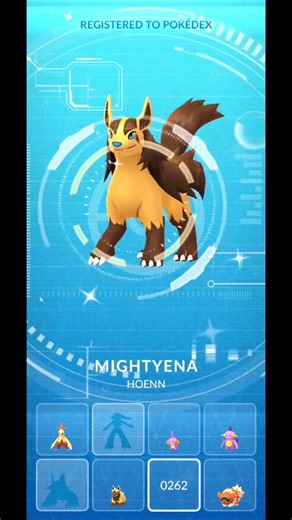 GOLDEN SHINY POOCHYENA TO MIGHTYENA EVOLUTION! ✨ Pokémon GO #Shorts