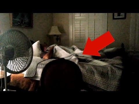 Top 5 Lugares Embrujados Donde Ocurrieron Fenómenos Paranormales