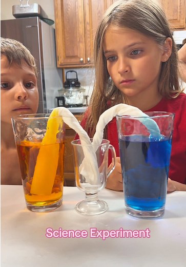 #busybeemama🐝 #momlife #scienceexperiments #scienceforkids #sofun | Science Experiment