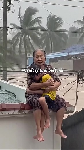 42K views · 517 reactions | Đau lòng | Quang Trường | Facebook