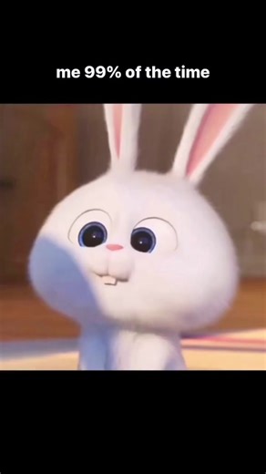Snowball Rabbit: The Cute Bunny from The Secret Life of Pets