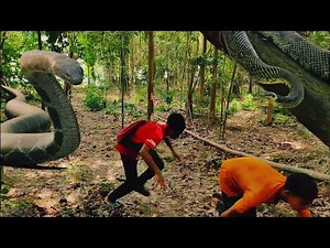 Snake Bites Man in Real Life | Russell Viper Attack | Anaconda Fun Made Movie #snakevideo