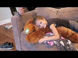 Getting Ready for Woodward (WK 289.2) | Bratayley