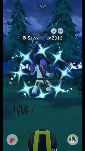 Pokemon go Catch Shiny Sawk #shorts #viralshorts