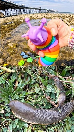Bug Insect Names | Kids Learn by the Pier: Slug Scorpion Tarantula Leaf Insect Centipede