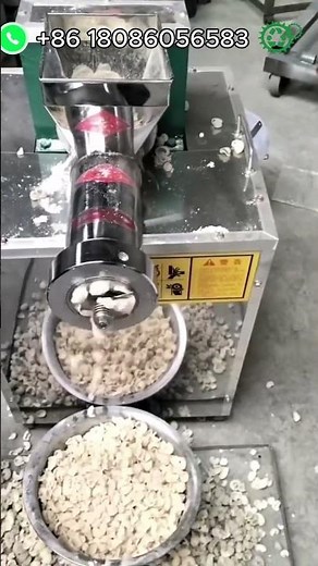 Pasta Extruder Machine for Spaghetti Fettuccine Ravioli Macaroni Making Factory and Restaurant Use