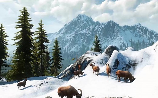 游戏音乐#《巫师3（The Witcher 3 Wild Hunt）》史凯利杰群岛 The Fields of Ard Skellig