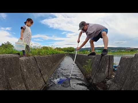 I caught an amazing creature in the irrigation canal