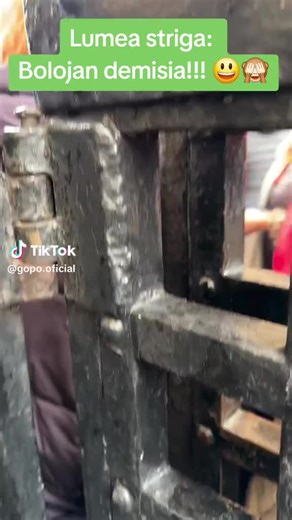 daniel craioveanu (@daniel_craioveanu74)’s videos with sunet original - daniel craioveanu