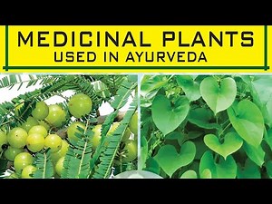 Ayurvedic Medicinal Plants and Their Uses Medicinal Plants Name आयुर्वेदिक पौधों के नाम